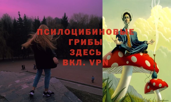 дживик Арсеньев