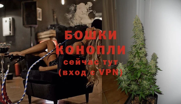 дживик Арсеньев