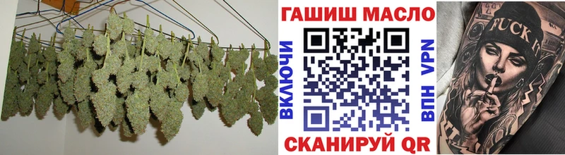 Купить где Ардатов ТГК THC oil