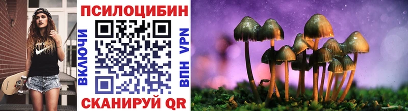 Купить закладки Ардатов Галлюциногенные грибы Psilocybe
